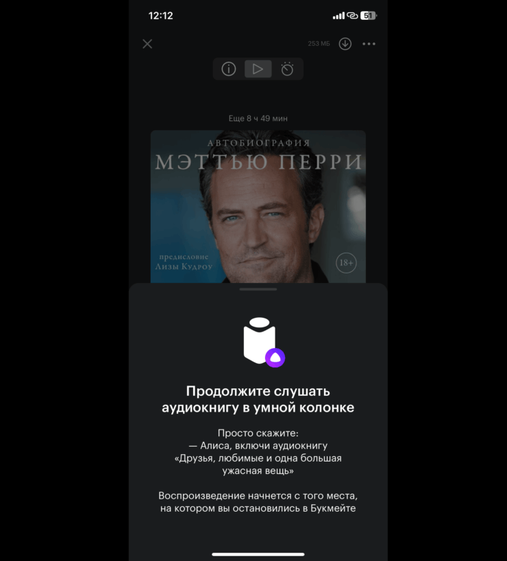 Слушать аудиокниги в Букмейт. Любую аудиокнигу можно включить на Яндекс Станции. Фото.