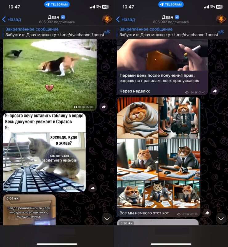 Где найти мемы. С Двачем можно хорошо посмеяться. Фото.