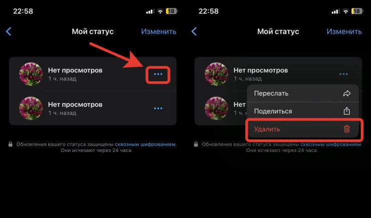 Как удалить статус в Ватсапе. Можно удалить только один статус. Фото.