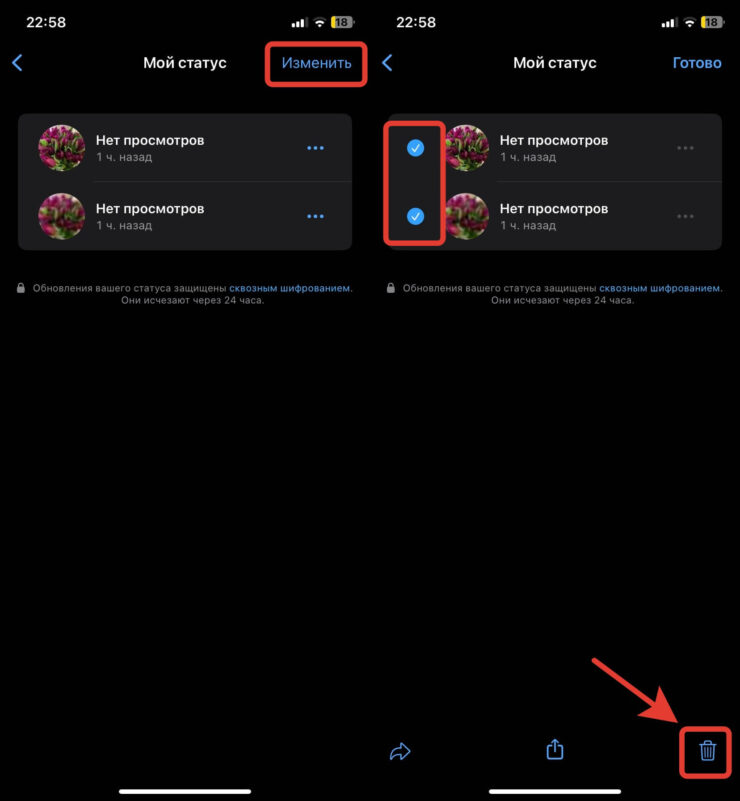 Как удалить статус в Ватсапе. Удалить можно все статусы разом. Фото.