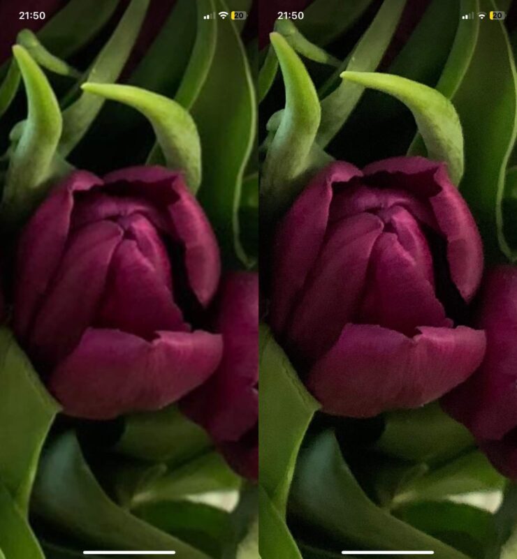 Статус Ватсап без потери качества. Картинка справа опубликована в HD-качестве. Фото.