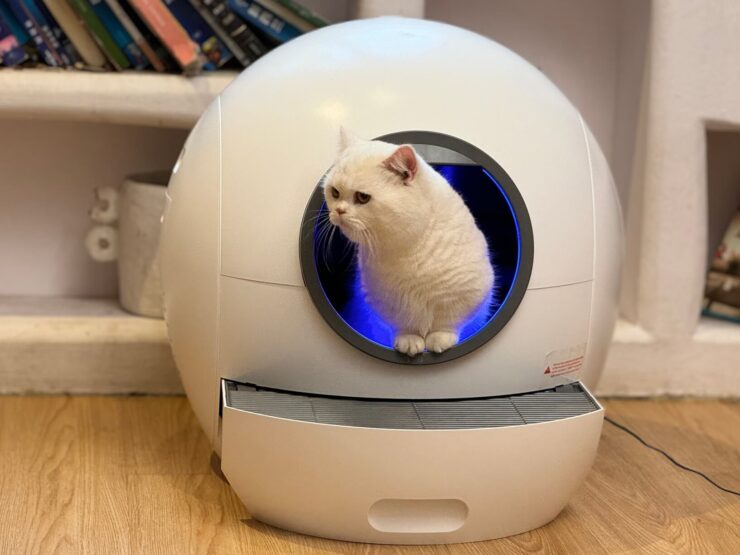 Автоматический туалет для кошек. С таким умным лотком вы можете не переживать за безопасность вашего котика. Фото.