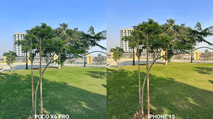 Как снимает камера POCO X6 Pro. Попробуйте закрыть подписи и отличить снимки. Фото.