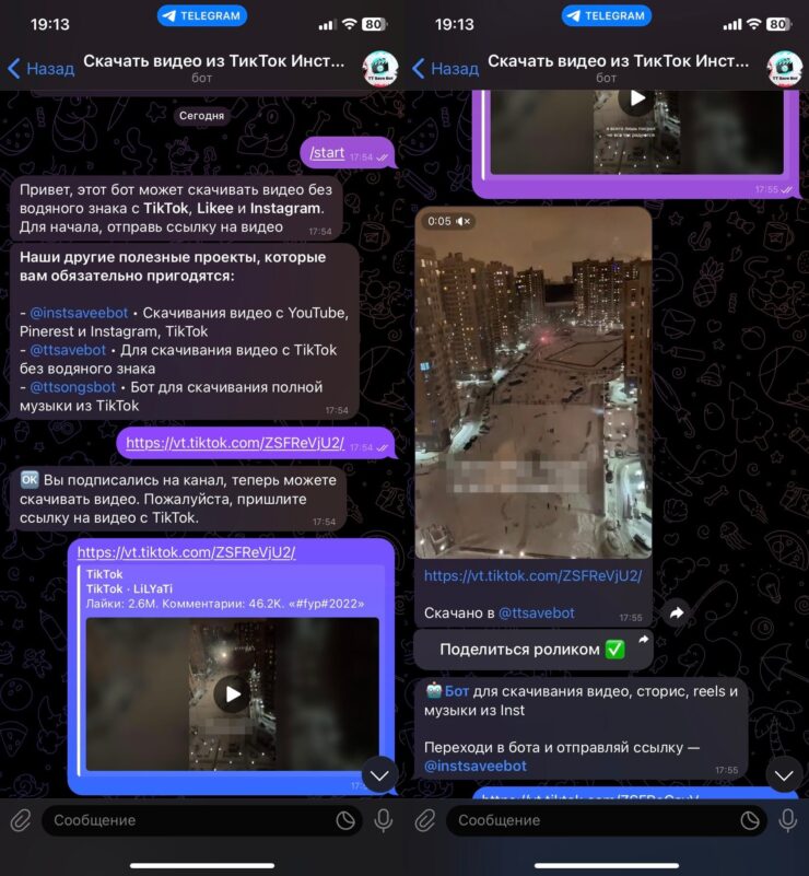 Бот для скачивания видео из Тик Тока. Бот позволяет загрузить из ТикТока любой ролик. Фото.