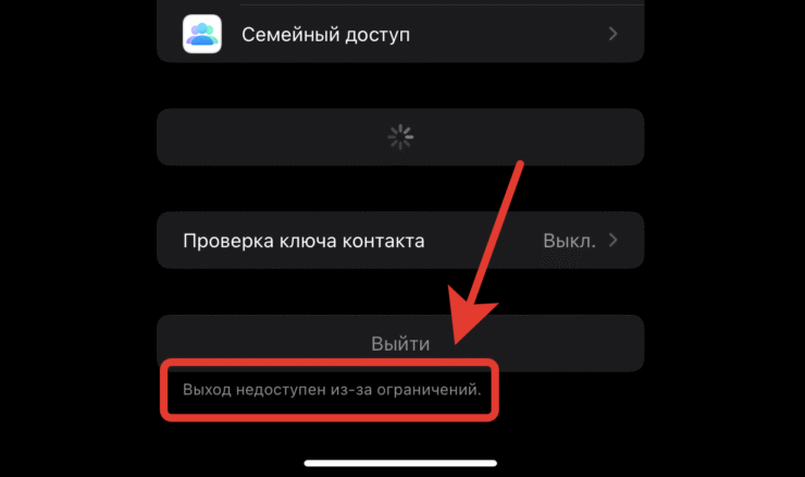Защита украденного устройства на Айфоне. Вот такая проблема может возникнуть у каждого. Фото.
