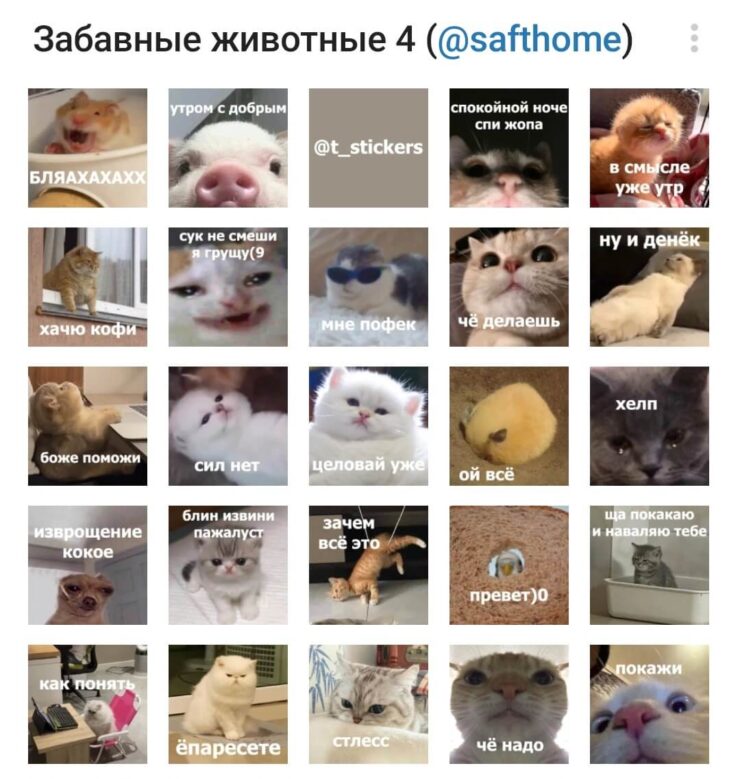 Забавные животные 4 — стикеры с животными. В этом наборе большое количество разных животных. Фото.