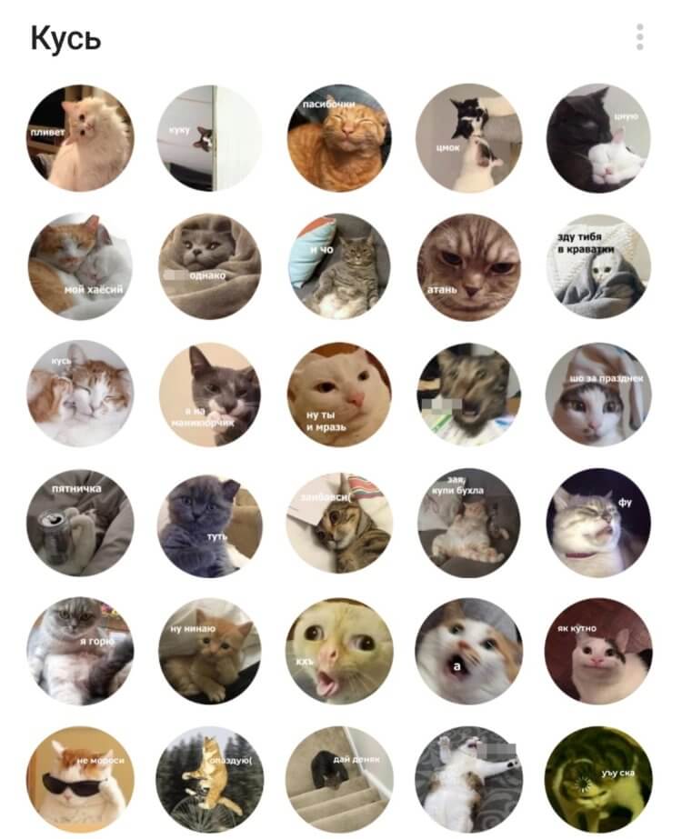 Кусь — стикеры ТГ коты. Здесь вы найдете прикольные круглые стикеры с котиками. Фото.