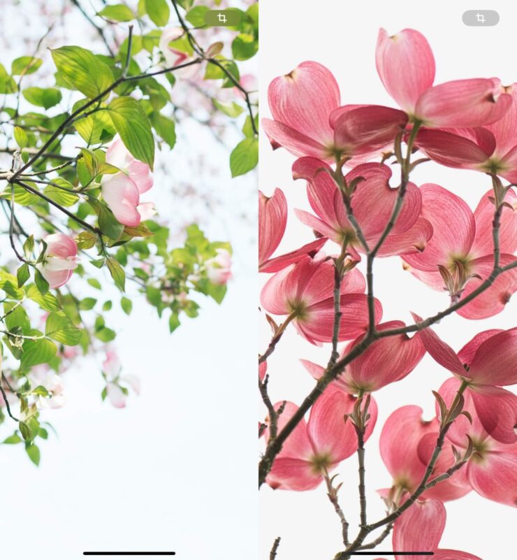 Обои на рабочий стол с природой. С такими обоями сразу поднимется настроение. Изображение: idownloadblog.com. Фото.