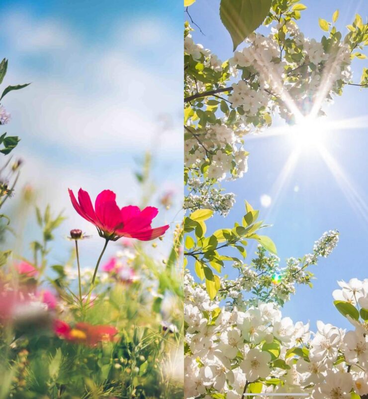 Обои на рабочий стол с природой. А если поставить на заставку голубое небо с солнышком, то будет еще лучше. Изображение: homediy.co, ru.pinterest.com. Фото.