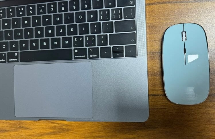 Мышь или тачпад: чем удобнее пользоваться на компьютерах Apple. Фото.