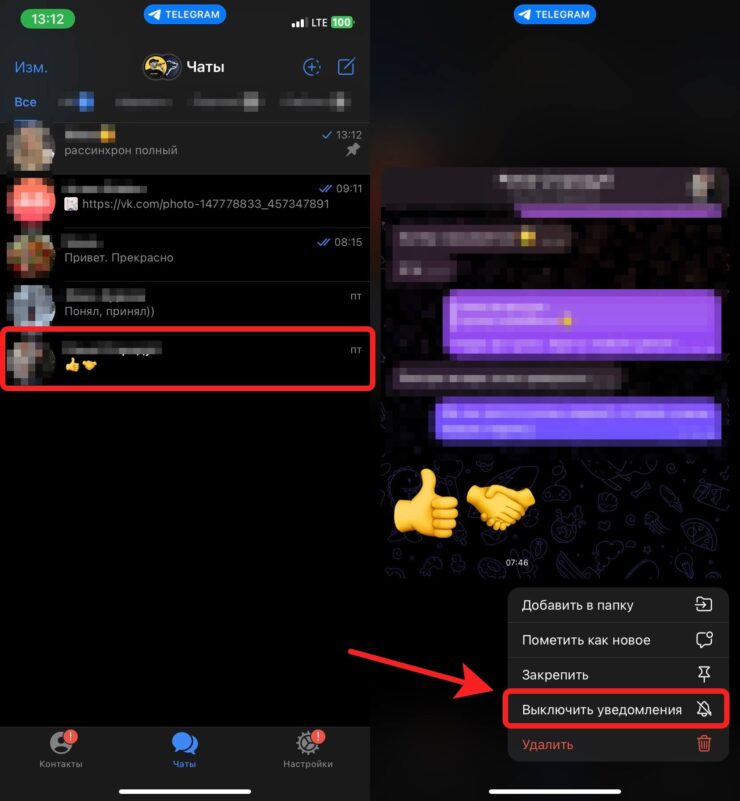 Как отключить уведомления в Телеграме. Уведомления от этого чата больше не будут приходить. Фото.