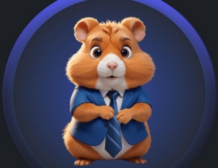 Говорят, в Hamster Kombat можно заработать денег и вывести их. Здесь вся правда про бот для майнинга крипты. Фото.