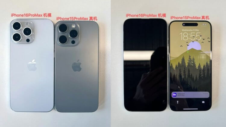 Диагональ экрана в Айфоне 16. iPhone 16 Pro и iPhone 16 Pro Max прилично увеличатся в размерах. Изображение: macrumors.com. Диагональ экрана в Айфоне 16. iPhone 16 Pro и iPhone 16 Pro Max прилично увеличатся в размерах. Изображение: macrumors.com. Фото.