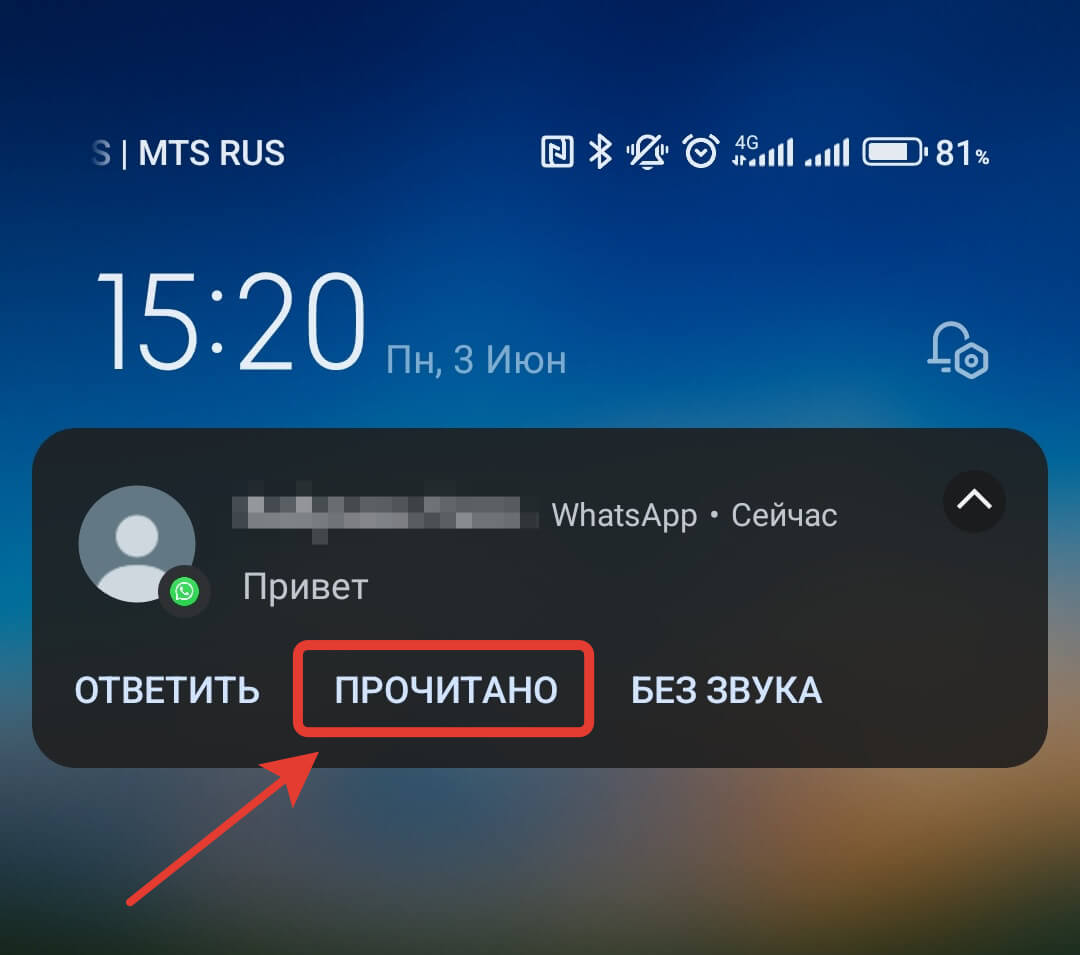 Пометить сообщение как прочитанное. Достаточно нажать одну кнопку, и отправитель получит отчет о прочтении. Фото.