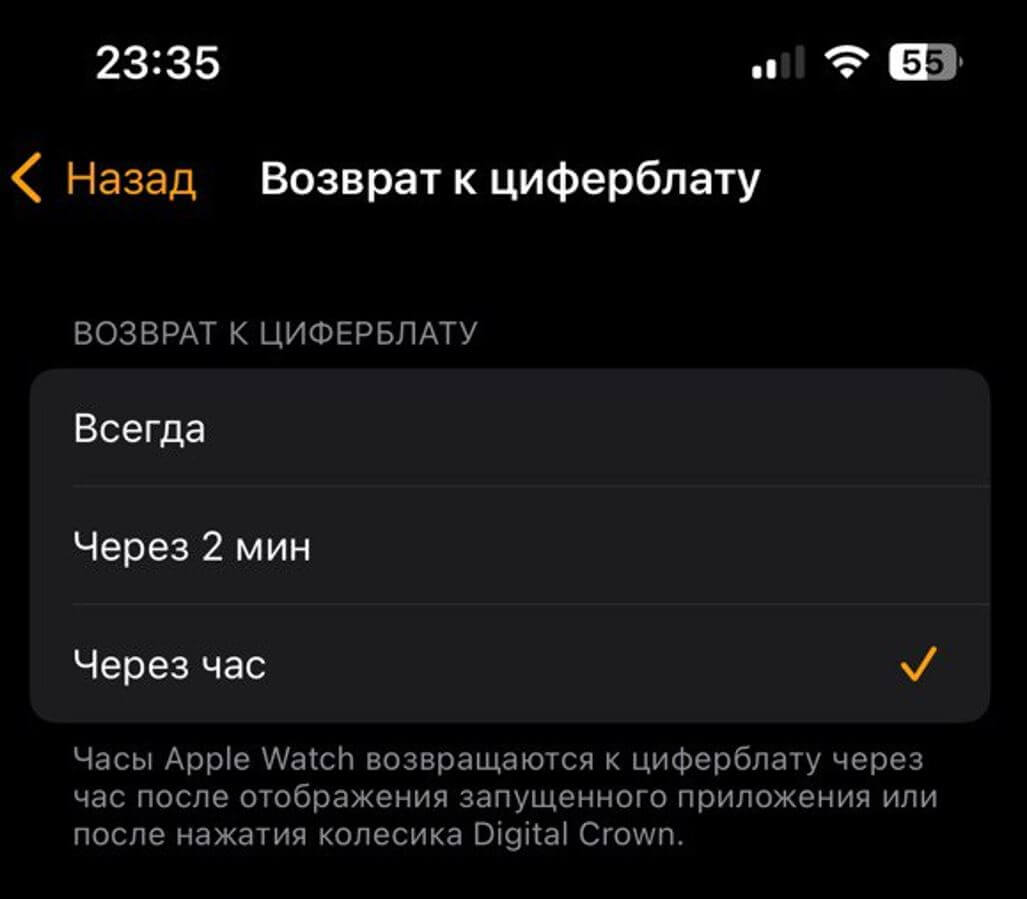 Собрали полезные скрытые функции Apple Watch в одном месте. Проверь, хорошо  ли ты знаешь свои смарт-часы | AppleInsider.ru