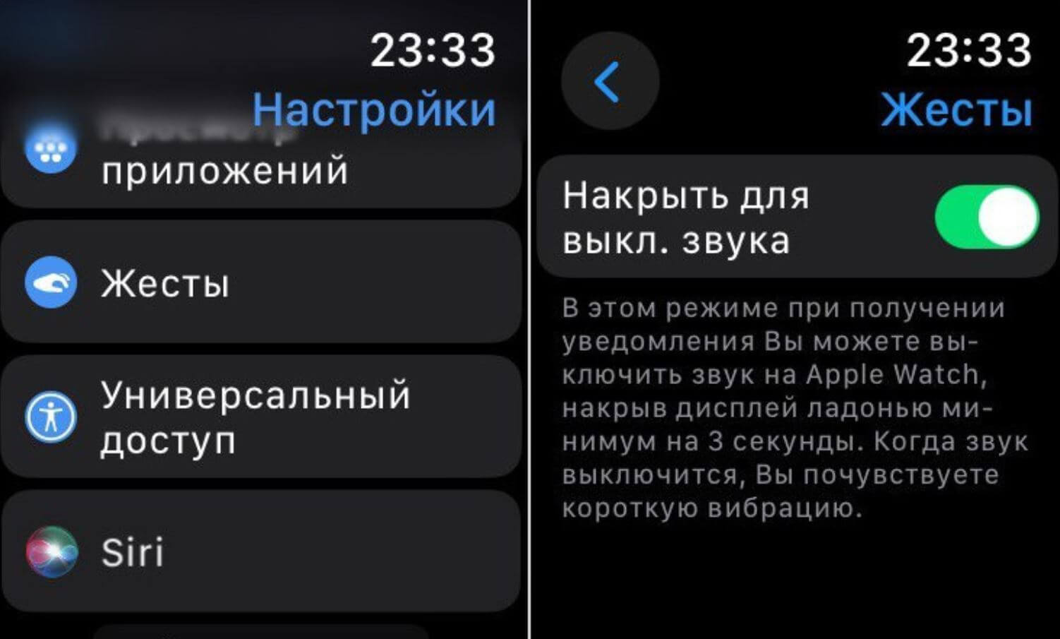 Собрали полезные скрытые функции Apple Watch в одном месте. Проверь, хорошо  ли ты знаешь свои смарт-часы | AppleInsider.ru