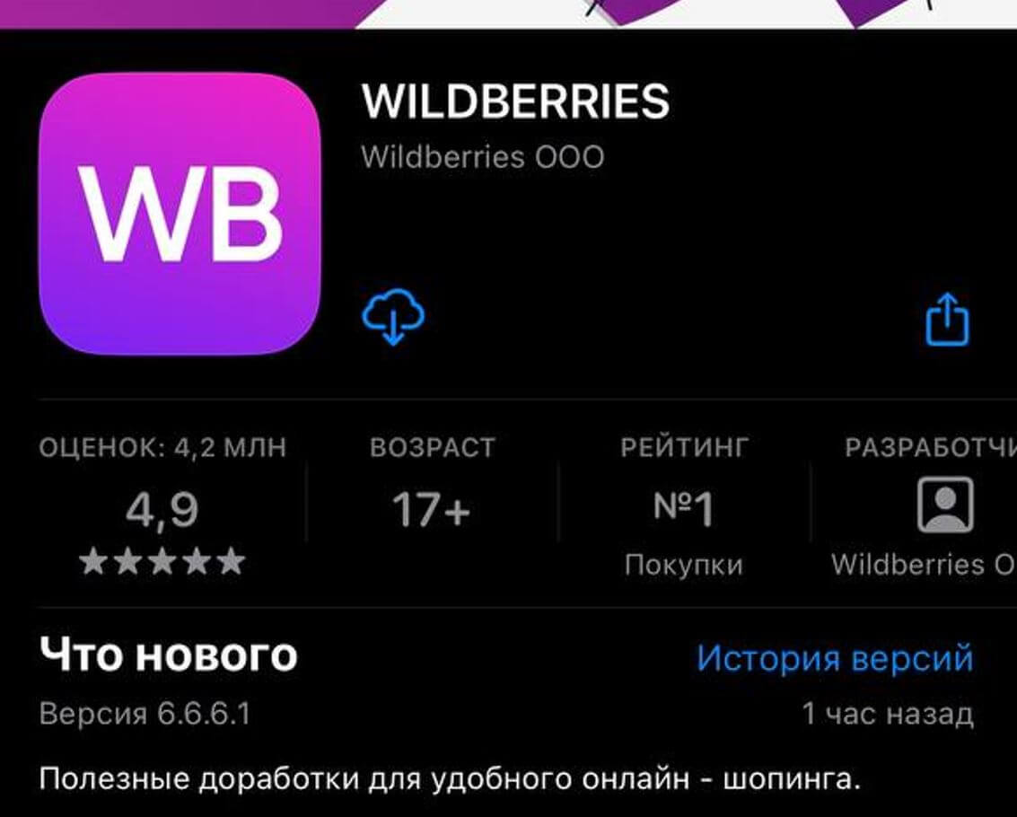 Почему Wildberries не работает на Айфоне. Обновление Wildberries под номером 6.6.6.1 исправляет ошибку. Но это не точно. Фото.