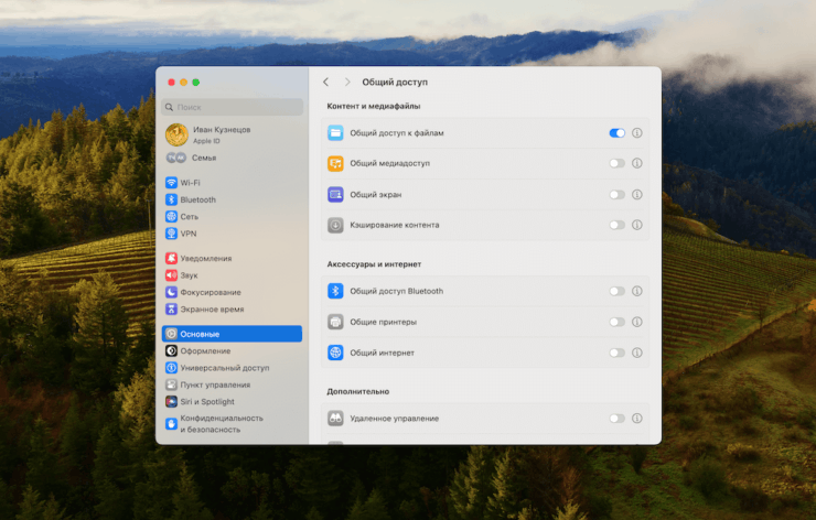 Общий доступ к файлам на Mac. Сначала нужно включить опцию Общий доступ. Фото.