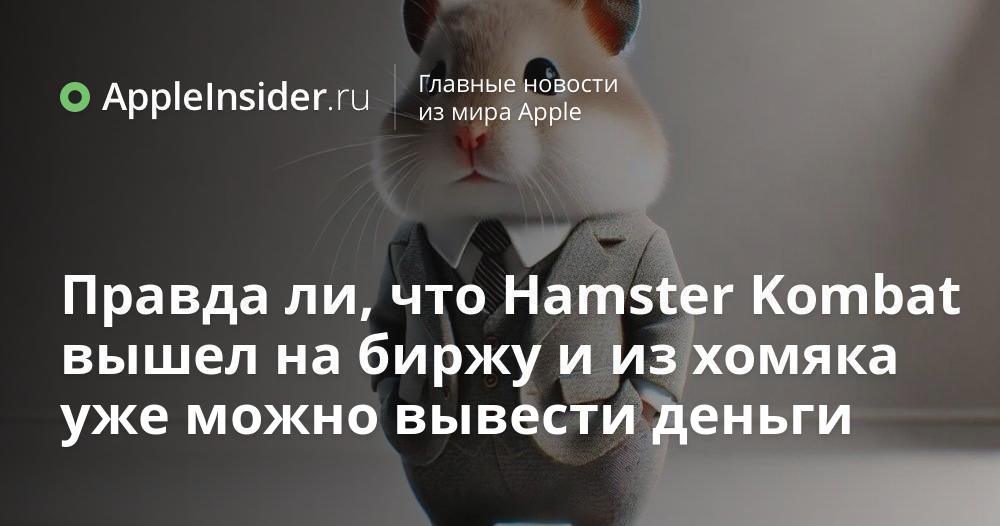 Когда hamster выйдет на рынок. Когда hamster выйдет на рынок. Хомяк трейдер из башкирии. Когда hamster выйдет на рынок. Хомяк трейдер.