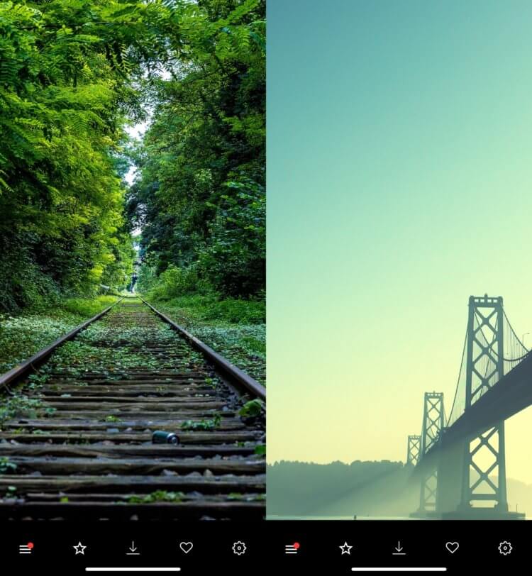 Wallpaper — обои на Айфон. В приложении можно найти действительно красивые обои. Фото.