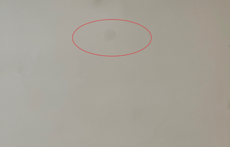 Пятно на камере Айфона. Еще один пример пятен на камере. Изображение: discussions.apple.com. Фото.