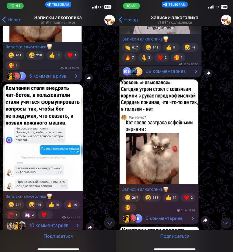 Телеграм-канал с юмором. Немного юмора еще никому не помешало. Телеграм-канал с юмором. Немного юмора еще никому не помешало. Фото.