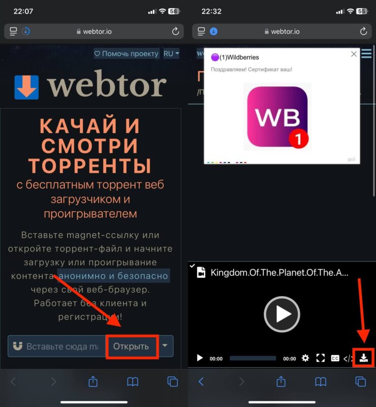 Как скачать торрент бесплатно. На сайте много рекламы, и ее очень непросто закрыть. Фото.