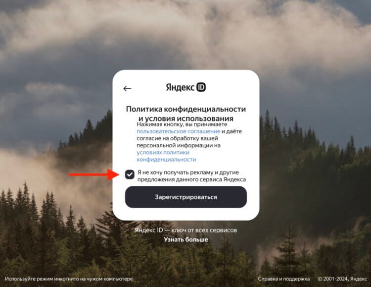Регистрация в Яндексе без номера. Поставьте галочку, чтобы не получать рекламную рассылку. Фото.