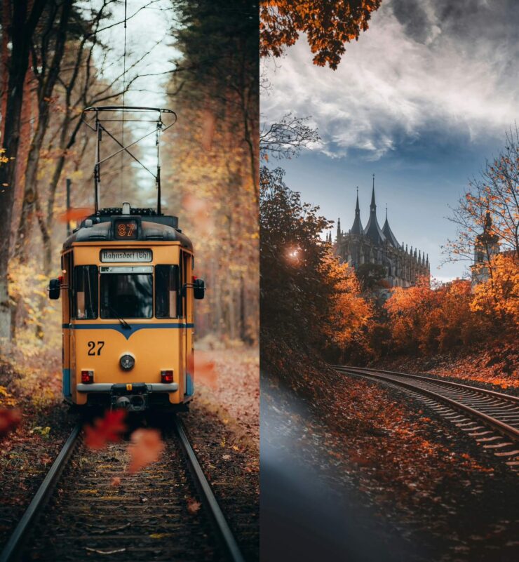 Осенние обои на телефон. Как вам цвета? Изображения: iguides.ru. Фото.