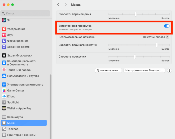 Прокрутка колесика мыши. Такой же тумблер есть в разделе «Трекпад», вот только включить или выключить их отдельно друг от друга нельзя.. Фото.