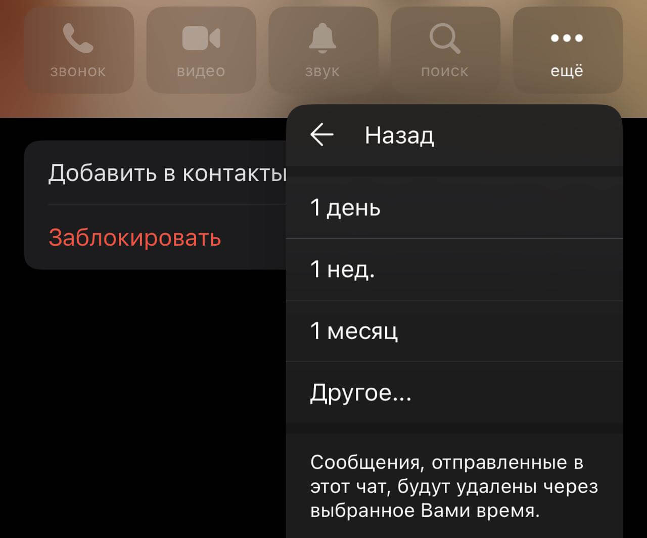 Автоудаление сообщений в Телеграм. Включите автоудаление сообщений, чтобы не стирать их вручную. Автоудаление сообщений в Телеграм. Включите автоудаление сообщений, чтобы не стирать их вручную. Фото.