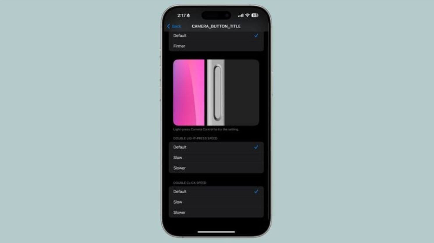 Новые функции в iOS 18.2 beta 2. Появился раздел с настройкой кнопки Camera Control. Новые функции в iOS 18.2 beta 2. Появился раздел с настройкой кнопки Camera Control. Фото.