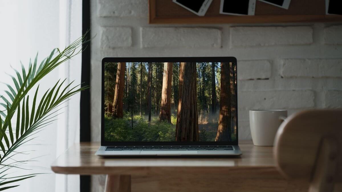 5 настроек macOS Sequoia, которые необходимо изменить сразу после обновления. Фото.