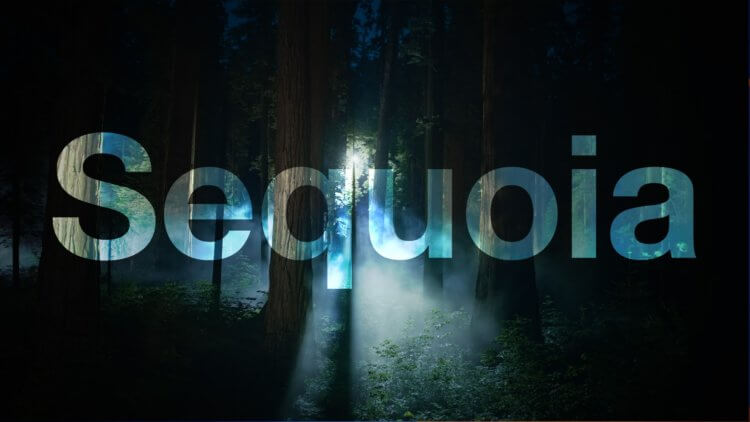 Вышла macOS Sequoia 15.1.1. Это обновление для компьютеров Mac нельзя пропустить. Новая версия macOS Sequoia доступна для установки. Изображение: macrumors.com. Вышла macOS Sequoia 15.1.1. Это обновление для компьютеров Mac нельзя пропустить. Новая версия macOS Sequoia доступна для установки. Изображение: macrumors.com. Фото.