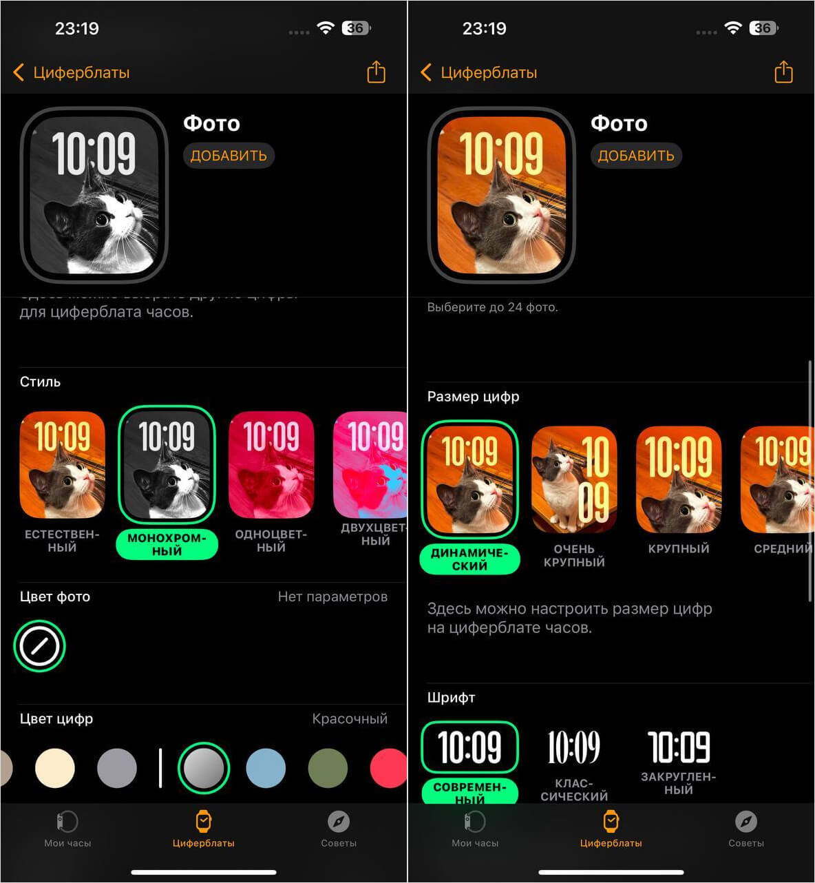 Как сделать циферблат для Apple Watch. Теперь можно сделать из фотографии крутой циферблат для Apple Watch. Как сделать циферблат для Apple Watch. Теперь можно сделать из фотографии крутой циферблат для Apple Watch. Фото.