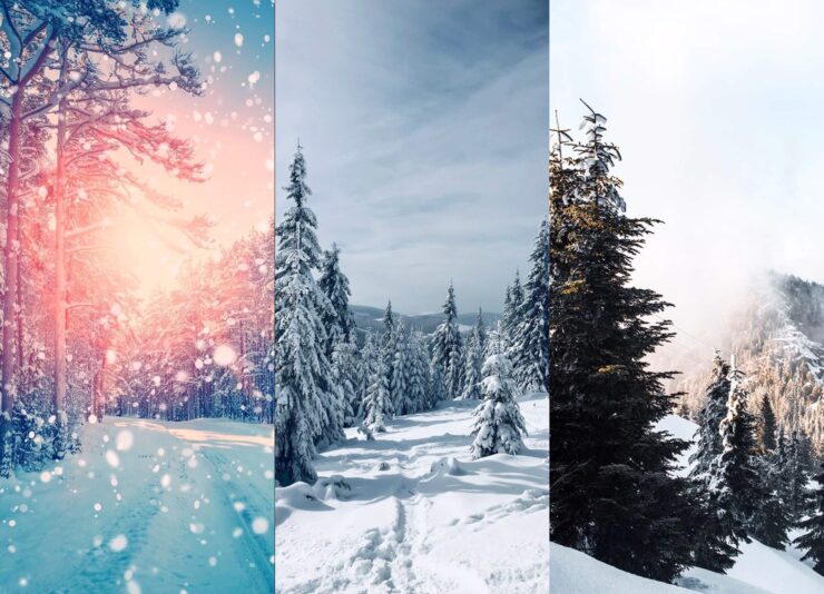 Зимние обои на телефон. Красивый зимний лес, еще и с горами. Изображение: ilikewallpaper.net. Фото.