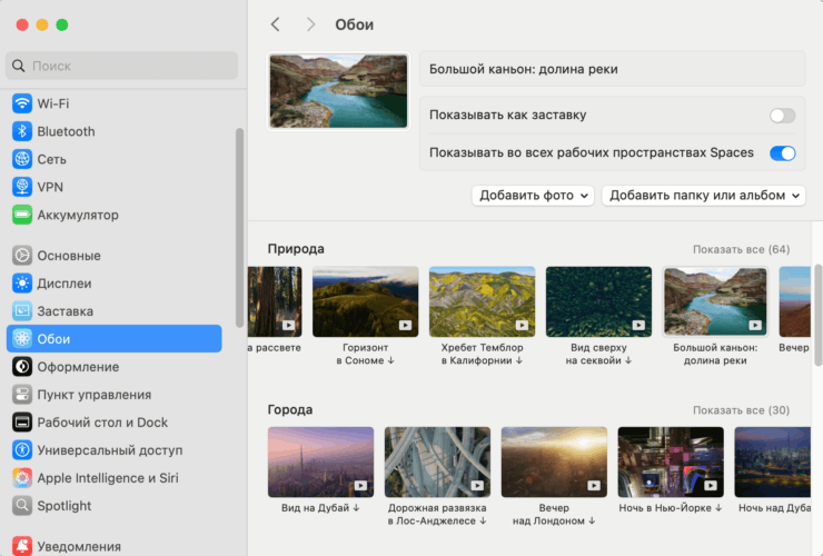 Анимированные обои на компьютер. Выберите себе заставку из множества анимированных вариантов. Фото.