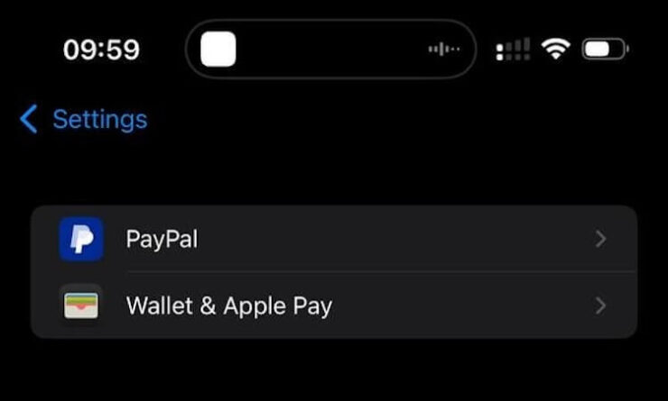 PayPal как замена Apple Pay на iPhone. Ну, скажите же, удобно. PayPal как замена Apple Pay на iPhone. Ну, скажите же, удобно. Фото.