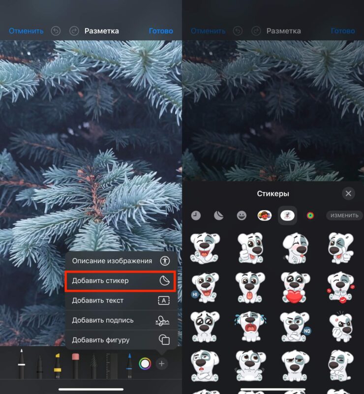 Как сделать стикер на фото. Добавьте нужный стикер. Фото.