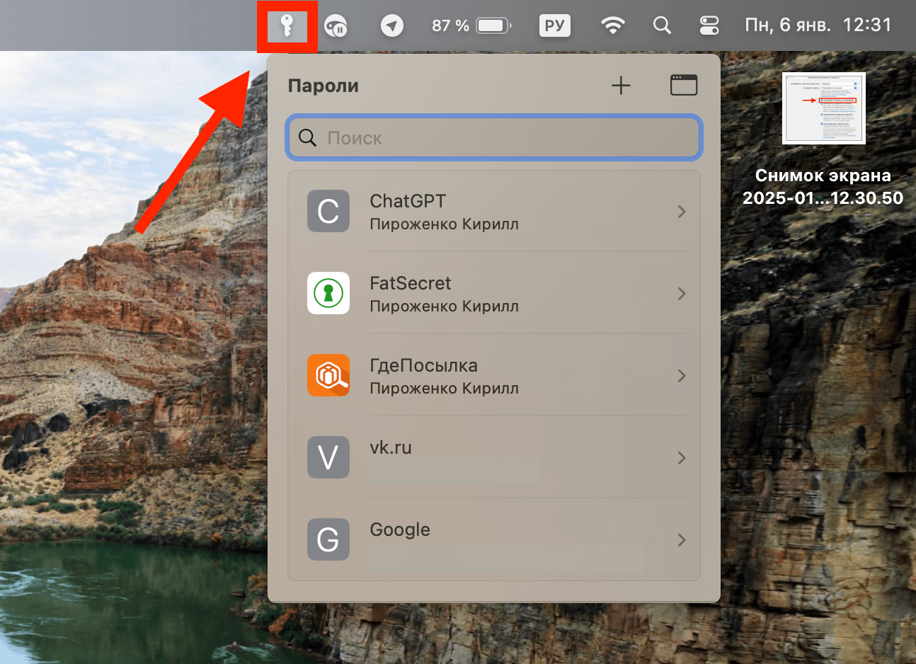 Как посмотреть пароли на компьютере. Теперь пароли всегда будут у вас под рукой. Фото.