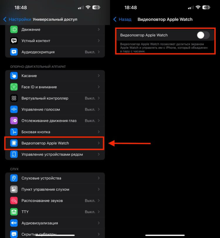 Видеоповтор Apple Watch. Включается видеоповтор Apple Watch одним тумблером. Видеоповтор Apple Watch. Включается видеоповтор Apple Watch одним тумблером. Фото.