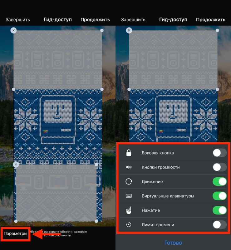 Гид-доступ на Айфоне. Можно отключить практически все кнопки на iPhone в рамках гид-доступа. Фото.