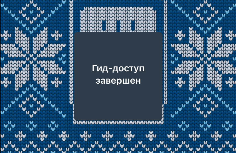Как выключить гид-доступ. Со включенным Face ID отключить гид-доступ можно намного быстрее. Фото.