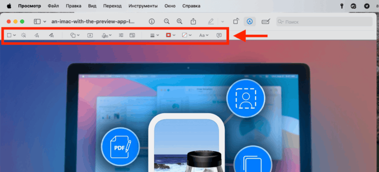 Бесплатный редактор картинок. Для базового редактирования картинок инструментов более чем достаточно. Фото.