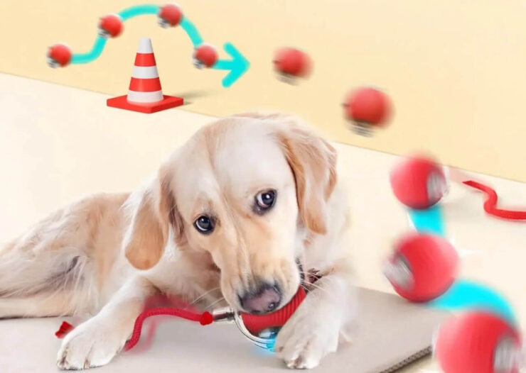 Интерактивный мяч для питомцев с подсветкой. Такой мяч подойдет как кошкам, так и собакам. Фото.