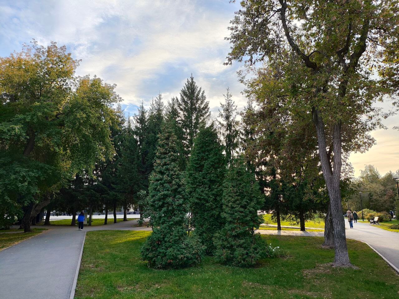 Отредактировать фото онлайн. Фото до редактирования. Фото.