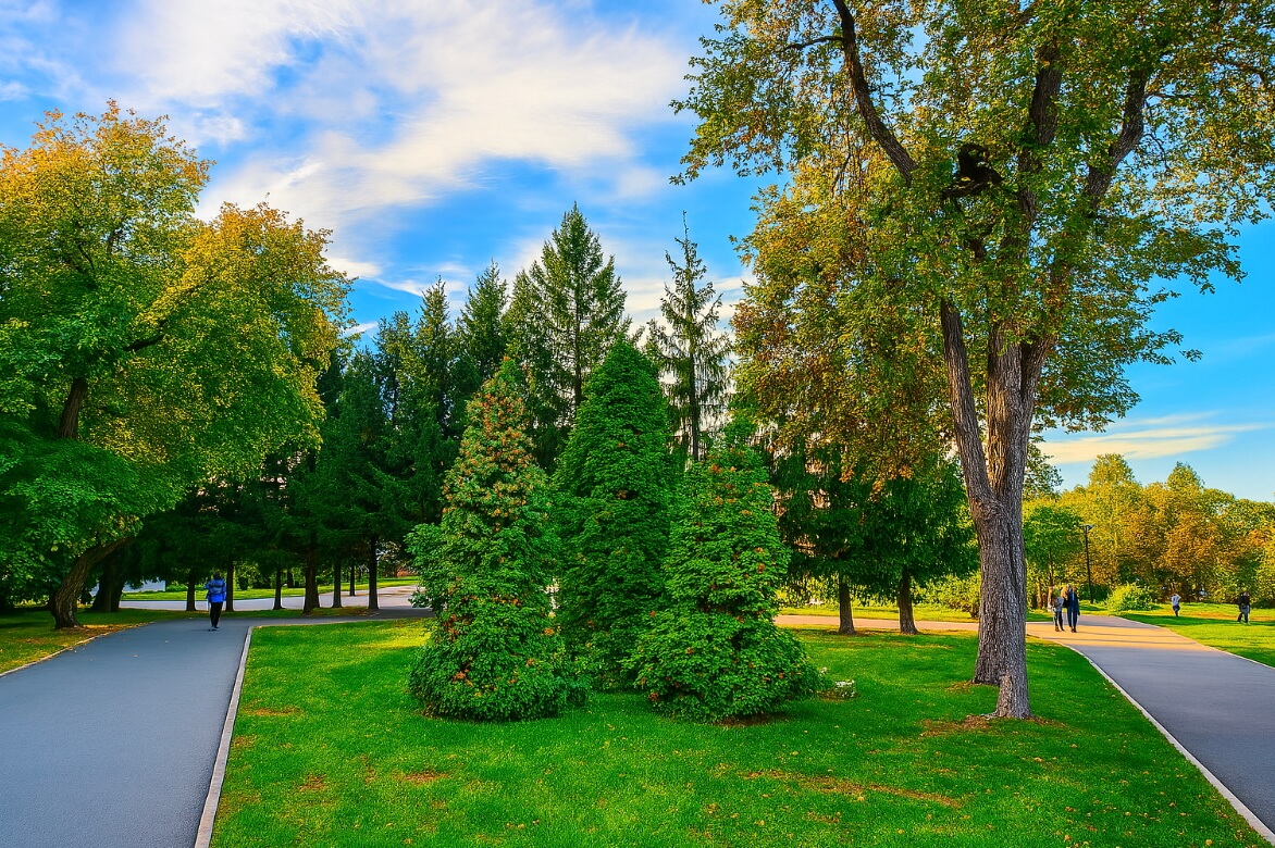 Отредактировать фото онлайн. Фото после редактирования. Фото.