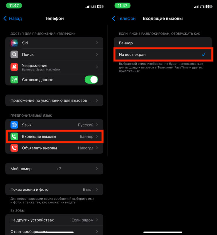Звонок на весь экран. Баннер в любой момент можно переключить на весь экран и обратно. Звонок на весь экран. Баннер в любой момент можно переключить на весь экран и обратно. Фото.