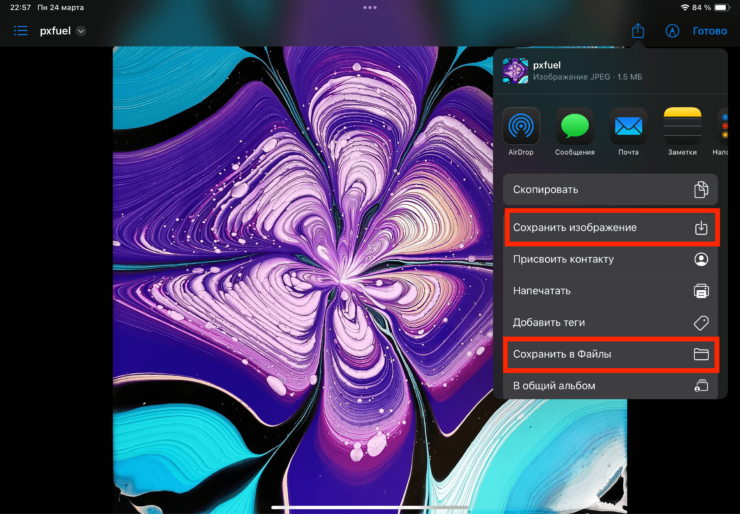 Как подключить флешку к iPhone. Сохранить данные можно как напрямую в галерею, так и в «Файлы». Фото.