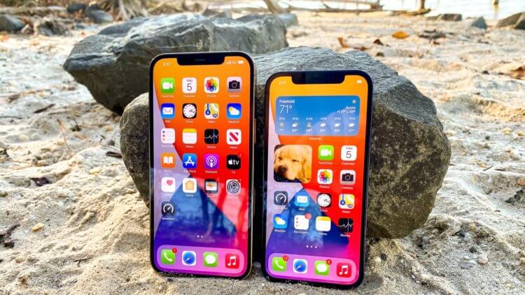 Какие Айфоны поддерживают RAW. Старички iPhone 12 Pro и 12 Pro Max поддерживают съемку в RAW. Изображение: tomsguide.com. Какие Айфоны поддерживают RAW. Старички iPhone 12 Pro и 12 Pro Max поддерживают съемку в RAW. Изображение: tomsguide.com. Фото.